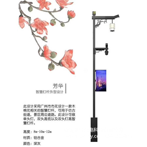 智慧路灯,智慧路灯厂家